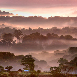 Pokot Pink Valleys by Georgina Goodwin
