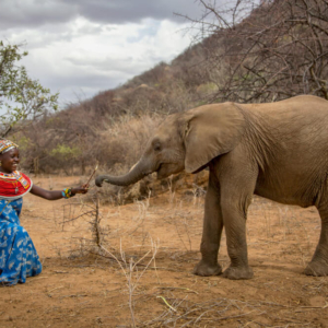 Samburu Elephant Sanctuary by Georgina Goodwin