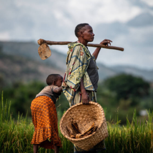 The Social Fabric by Amaury Falt-Brown