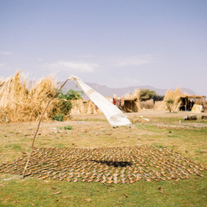 Fish Drying by Kang-Chun Cheng