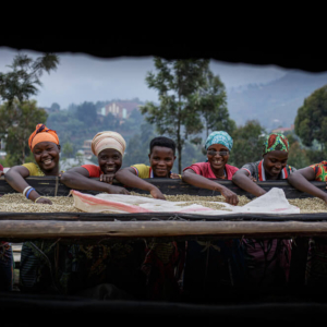 The Beauty of the Harvest by Tchandrou Nitanga